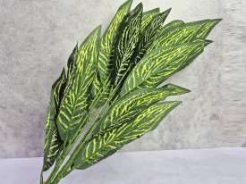 Planta hojas verdes largas